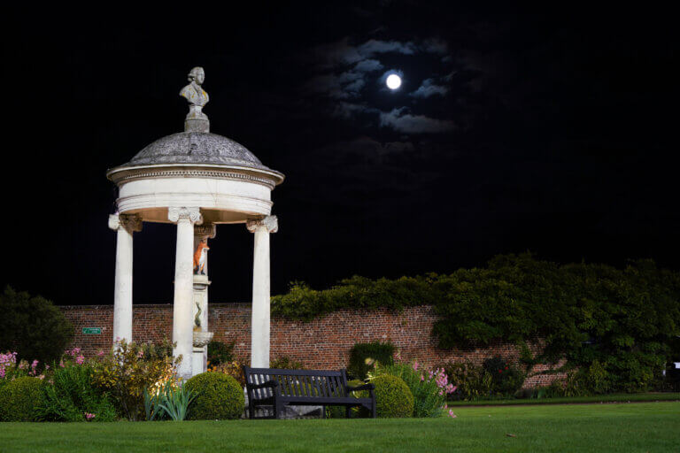 GV Fox TBK21653©Tattersalls