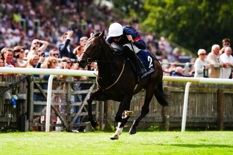 Big sales race winner for Lucky Vega